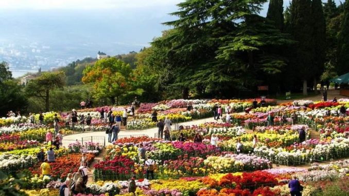Никитинский ботанический сад